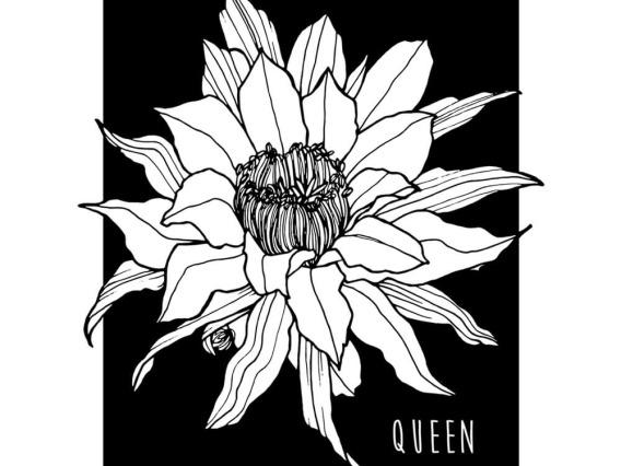 Cover Volume 22, black and white drawing of flower